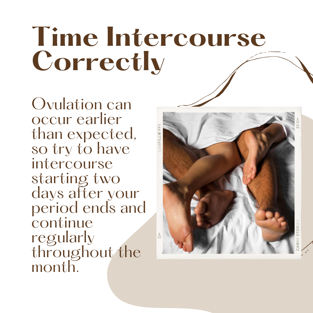 Having intercourse at the right time for conception