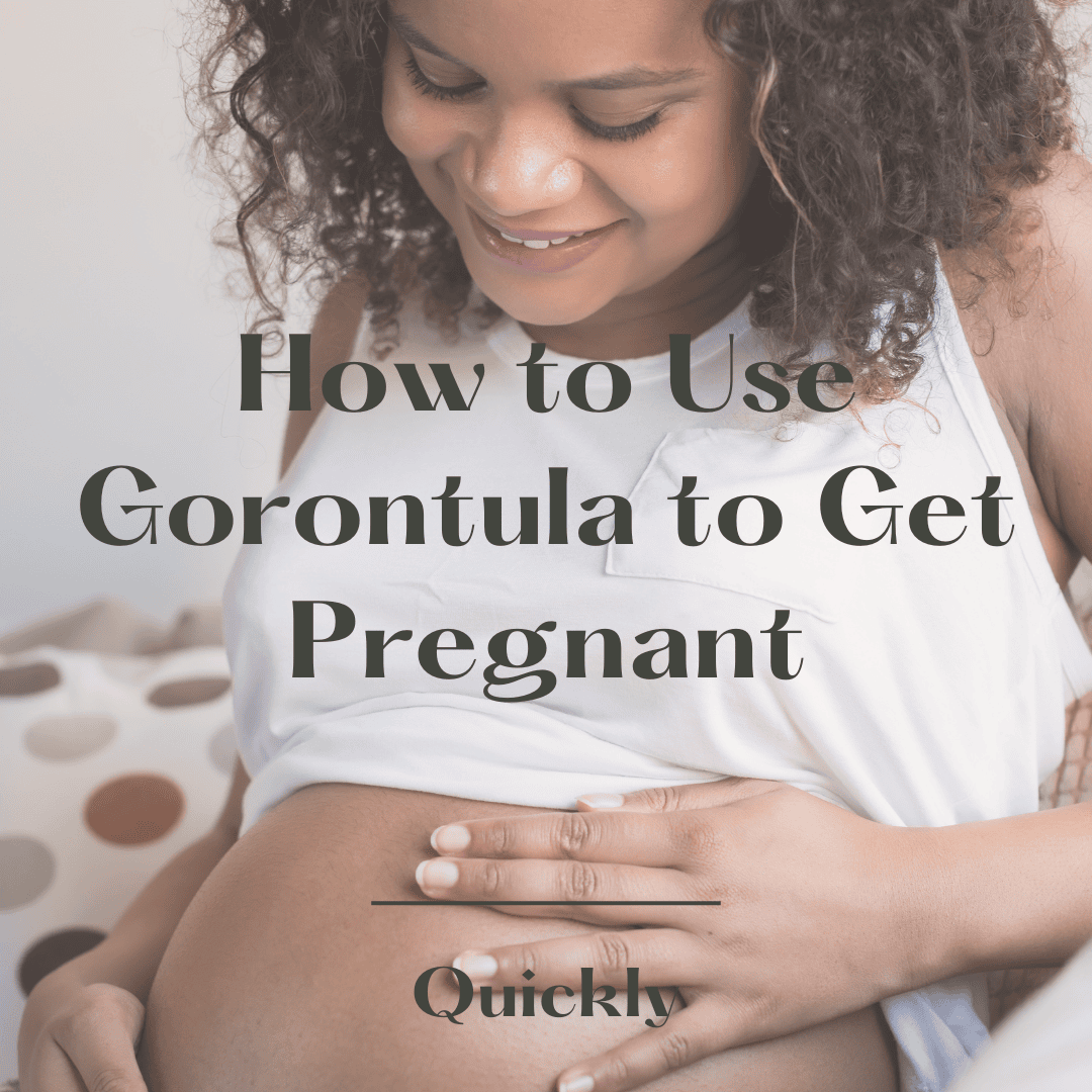 How to Use Gorontula to Get Pregnant quickly