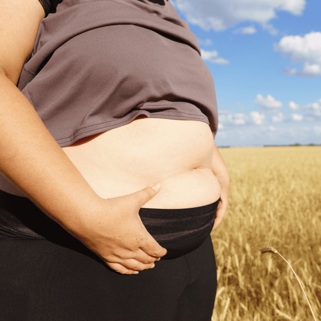 Effets du fructose sur le metabolisme des femmes