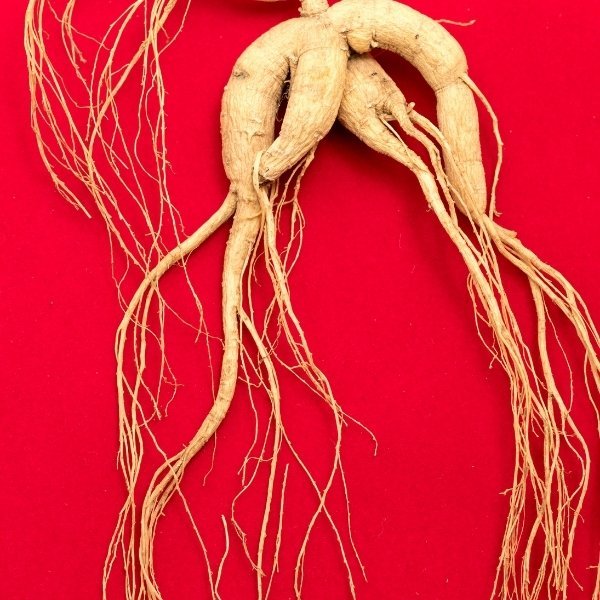 Erectile Dysfunction?: Understanding the Causes and Finding Natural Solutions 12 Ginseng
